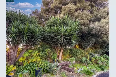 3229-3231 Toyon Ter, Alameda, CA 94501 - Photo 45