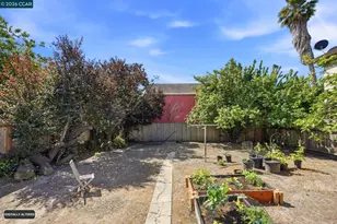 1238 Haskell St, Berkeley, CA 94702 - Photo 27