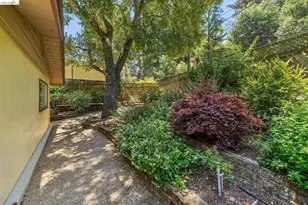 7200 Saroni Dr, Oakland, CA 94611 - Photo 65