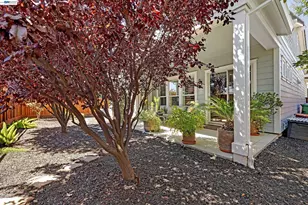 1810 Moscato Pl, Brentwood, CA 94513 - Photo 29