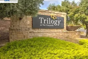 1810 Moscato Pl, Brentwood, CA 94513 - Photo 31