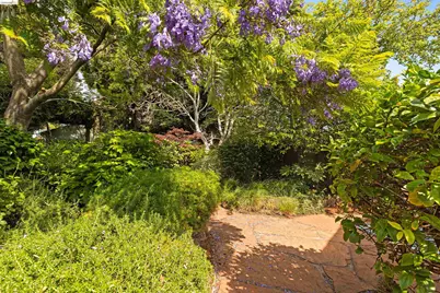 1009 Key Route Blvd, Albany, CA 94706 - Photo 37