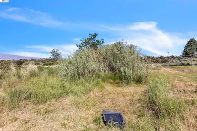 452 US Hwy 395, Milford, CA 96121 - Photo 55