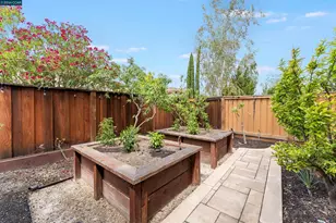 2151 Carmenere St, Danville, CA 94506 - Photo 63