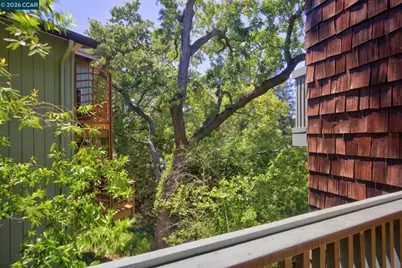 911 Dewing Ave, Lafayette, CA 94549 - Photo 29