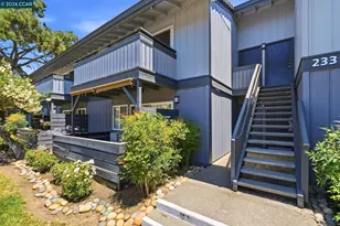 233 Masters Ct, Walnut Creek, CA 94598 - Photo 43