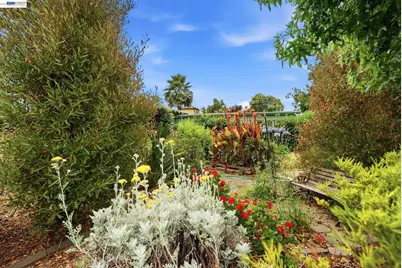 770 Grove Way, Hayward, CA 94541 - Photo 29