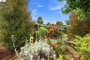 770 Grove Way, Hayward, CA 94541 - Photo 29