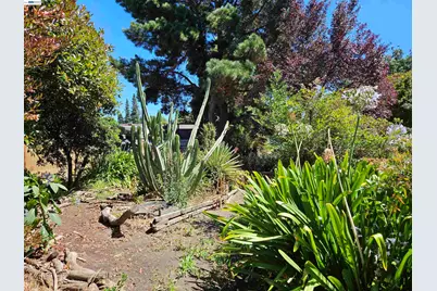 770 Grove Way, Hayward, CA 94541 - Photo 33