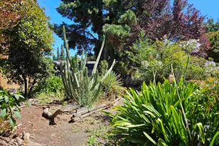 770 Grove Way, Hayward, CA 94541 - Photo 33