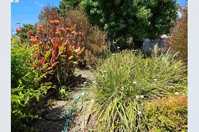 770 Grove Way, Hayward, CA 94541 - Photo 39