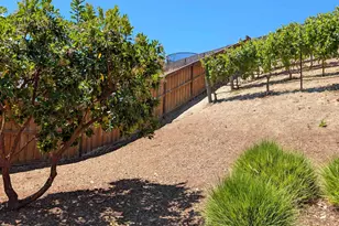 1813 Holsteiner Dr, Fairfield, CA 94534 - Photo 21