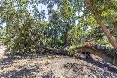 3515 Kellogg Creek Rd, Byron, CA 94514 - Photo 15