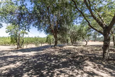 3515 Kellogg Creek Rd, Byron, CA 94514 - Photo 3