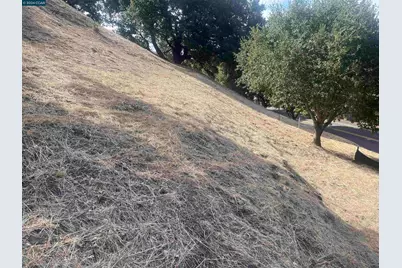 1500 Reliez Valley Rd, Lafayette, CA 94549 - Photo 5