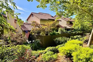 336 Pimlico Dr, Walnut Creek, CA 94597 - Photo 1