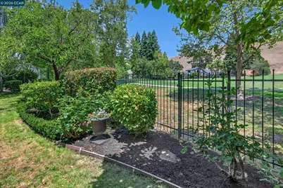 549 Buttonwood Dr, Danville, CA 94506 - Photo 65