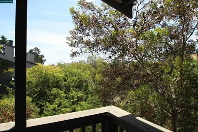 1506 Ashwood Dr, Martinez, CA 94553 - Photo 9