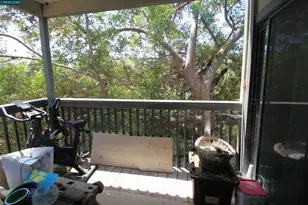 1506 Ashwood Dr, Martinez, CA 94553 - Photo 17