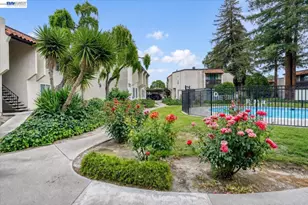 975 Murrieta Blve, Livermore, CA 94550 - Photo 23