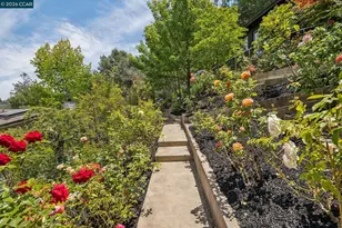 6 Monte Vista Rd, Orinda, CA 94563 - Photo 53