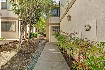 4328 Conejo Dr, Danville, CA 94506 - Photo 29