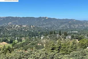 506 Oakshire Pl, Alamo, CA 94507 - Photo 57