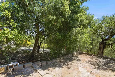 506 Oakshire Place, Alamo, CA 94507 - Photo 45