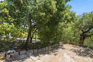 506 Oakshire Pl, Alamo, CA 94507 - Photo 45