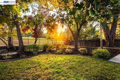 3180 Roundhill Rd, Alamo, CA 94507 - Photo 41