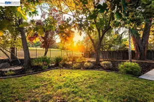 3180 Roundhill Rd, Alamo, CA 94507 - Photo 41