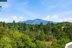 102 Hillcrest Dr, Orinda, CA 94563 - Photo 33