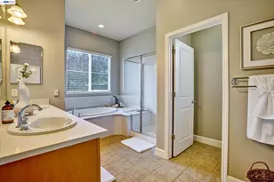 244 Sonia Way, Livermore, CA 94550 - Photo 43