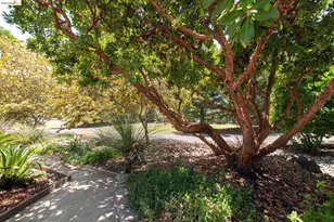 5232 Horseshoe Bend Ave, Clovis, CA 93619 - Photo 51