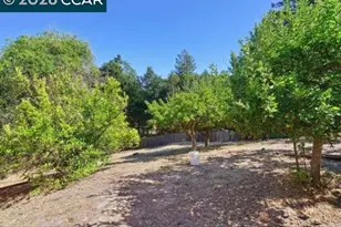 44 Squire Ct, Alamo, CA 94507 - Photo 51