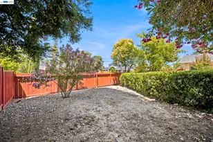 1082 Springfield Dr, Walnut Creek, CA 94598 - Photo 43