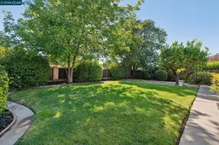 337 Barrow Ct, Walnut Creek, CA 94598 - Photo 33