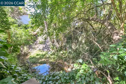 915 Brown Street, Martinez, CA 94595 - Photo 49
