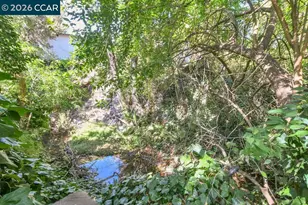 915 Brown St, Martinez, CA 94595 - Photo 49