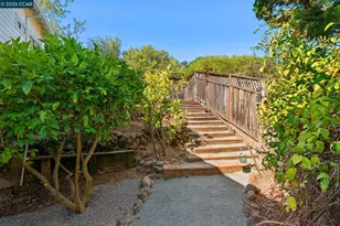 905 Dana Highlands Ct, Lafayette, CA 94549 - Photo 47