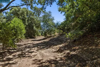 1180 Bear Creek Rd, Martinez, CA 94553 - Photo 31