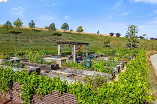 241 Fennel Wy, Livermore, CA 94551 - Photo 45