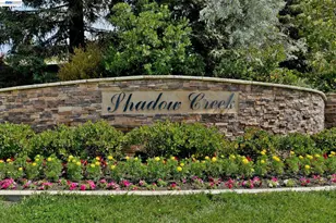 3551 Shadow Creek Dr, Danville, CA 94506 - Photo 39