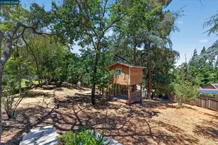 61 Crest Ave, Alamo, CA 94507 - Photo 69