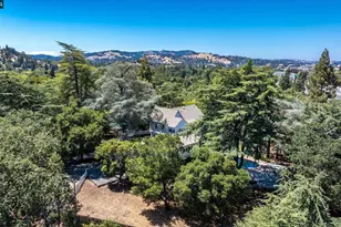 61 Crest Ave, Alamo, CA 94507 - Photo 77