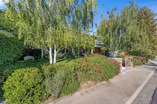 1007 El Capitan Dr, Danville, CA 94526 - Photo 43