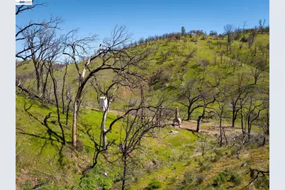 15676 Corral Hollow Rd, Tracy, CA 95377 - Photo 5