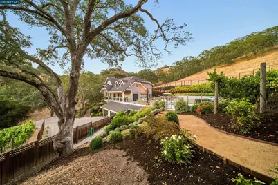 330 Twin Peaks Ln, Alamo, CA 94507 - Photo 51