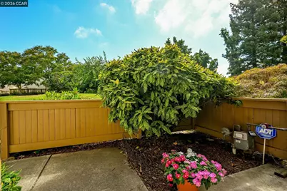 1927 Olmo Way, Walnut Creek, CA 94598 - Photo 5