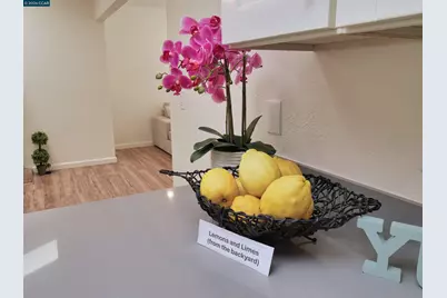 913 Seascape Cir, Rodeo, CA 94572 - Photo 21